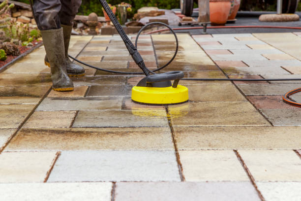 Best Animal Enclosure Cleaning  in Kodi Station, AK
