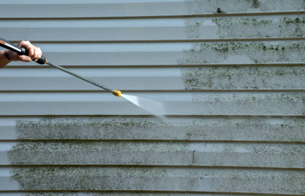 Best Building Exterior Washing  in Kodi Station, AK