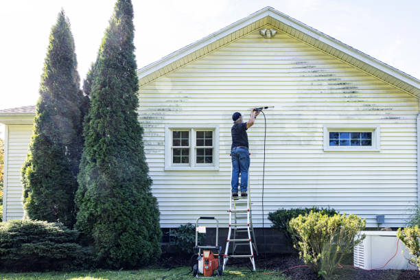 Best Patio and Deck Pressure Washing  in Kodi Station, AK